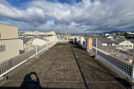 �Z�˂���̒��]�ʐ^�@-