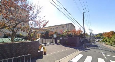 ���ӊ��@-