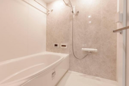 �����@�|���̂��₷���A�����E�􂢏�̍L���E�ۉ����ȂǁA���p���Ɖ��K���̃o�����X����ꂽ�V�X�e���o�X�ł��B