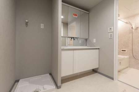 ���ʑ�E���ʏ��@���ʉ��ϑ�͐��ʋ�Ԃ��㎿�ɍʂ�{�E����̃^�C�v�ł��B