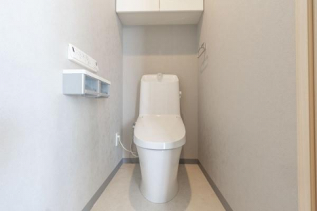 �g�C���@���K�Ȑ��@�\�Ɛߐ��݌v�����˔����������E���S�̃g�C���ł��B