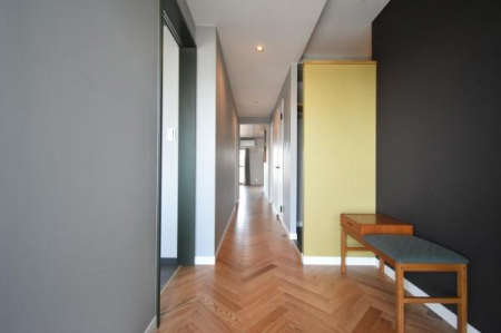 ���̑����ρ@-