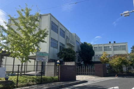 ���ӊ��@-