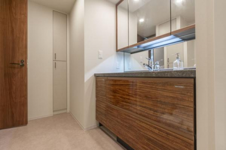 ���ʑ�E���ʏ��@���ʉ��ϑ�͐��ʋ�Ԃ��㎿�ɍʂ�{�E����̃^�C�v�ł��B